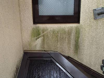20140820外壁塗装T様邸水洗いP8208400-s.JPG