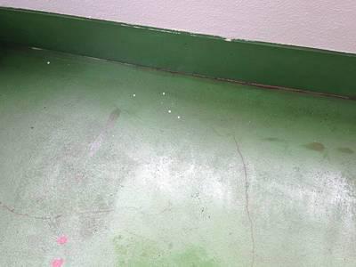 20141004外壁塗装N・M様邸床塗装下塗り033705820_iOS-s.jpg