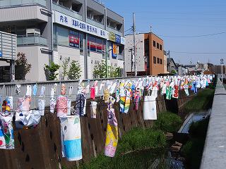 神田川こいのぼり祭り2016
