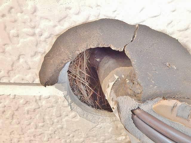 エアコン配管の穴に巣が