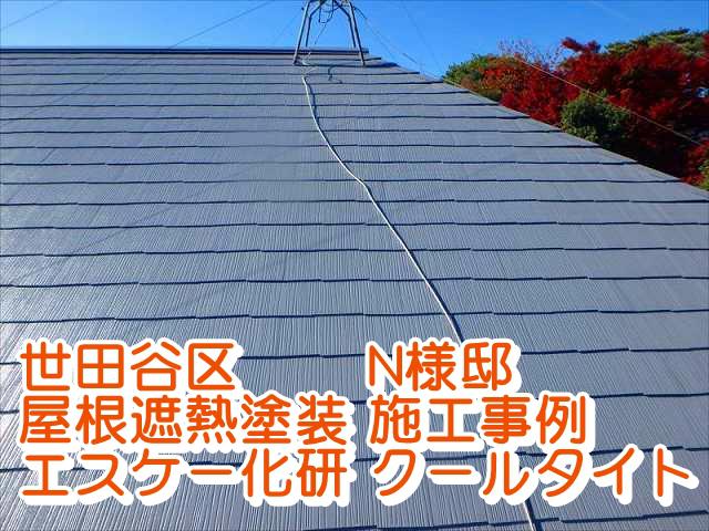 20161125屋根塗装N様邸最終チェックPB250904_s_640_txt.jpg