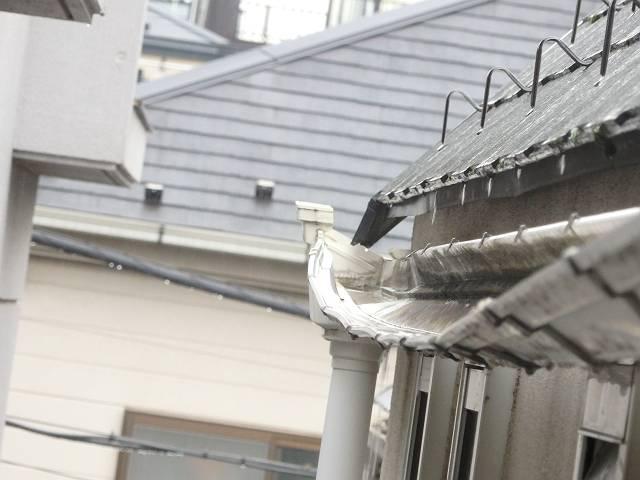 雨どい